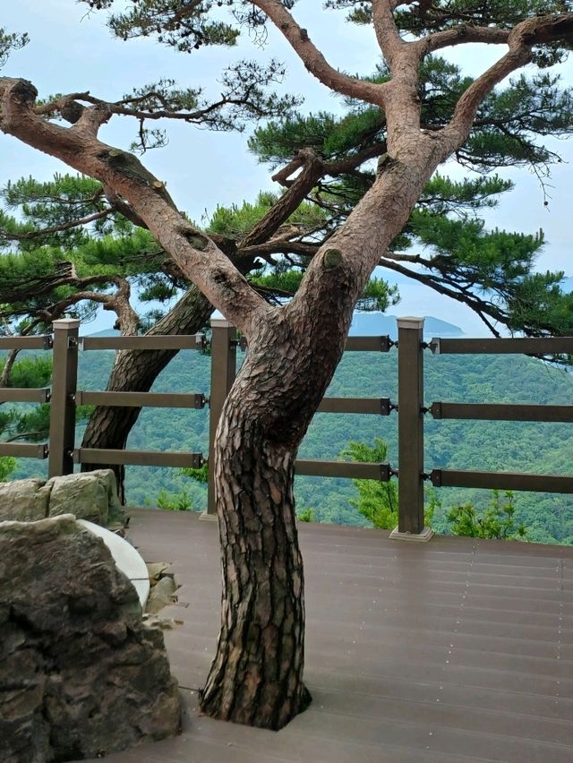 절벽 위에서 만나는 황홀한 풍경의 절집
