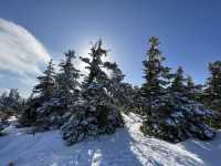 🏔️ Early Winter Magic at Mt. Hakkoda