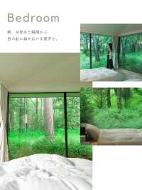 【軽井沢】＼まるで森の中／デザイン貸別荘🌿