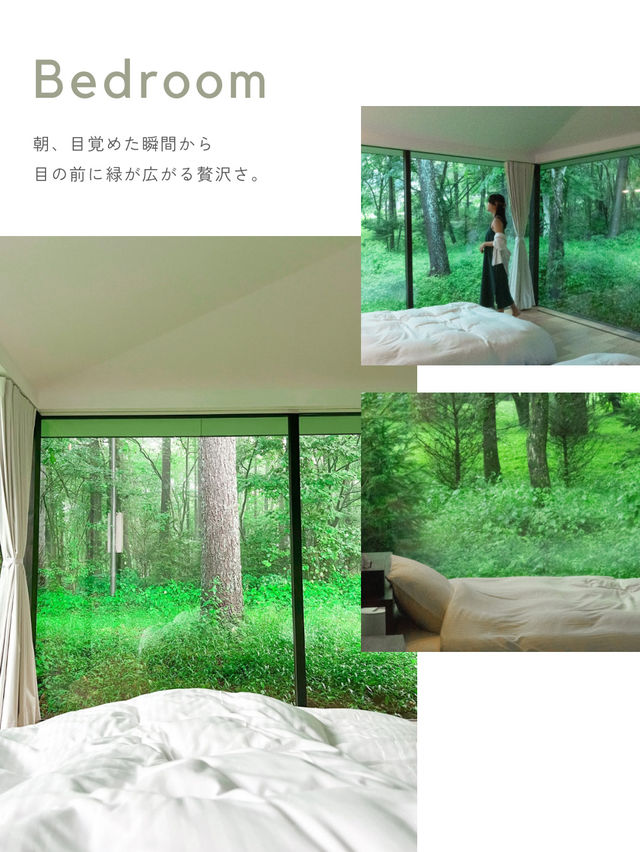 【軽井沢】＼まるで森の中／デザイン貸別荘🌿