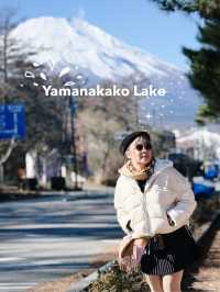 Yamanakako Lake กับหงส์ตัวใหญ่