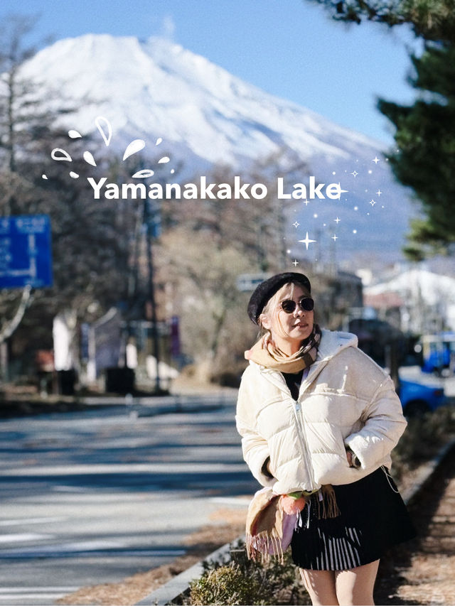 Yamanakako Lake กับหงส์ตัวใหญ่