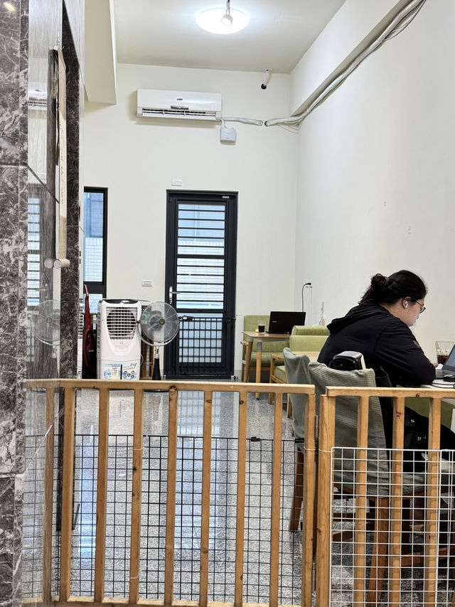🐾《旅人的高雄毛孩手札》