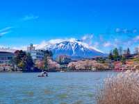 สวนทะคะมัตสึ (Takamatsu Pond Park / 高松の池) 
