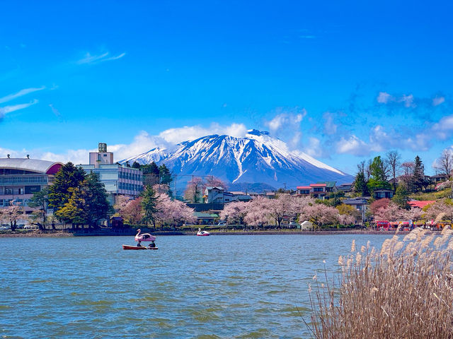 สวนทะคะมัตสึ (Takamatsu Pond Park / 高松の池) 