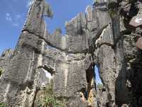 Must Visit - Magical Sone Forest Yunnan , UNESCO site 
