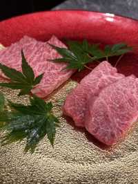 【東京🗼】銀座で特別な夜を！個室焼肉新店舗🥩