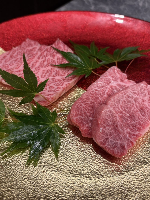 【東京🗼】銀座で特別な夜を！個室焼肉新店舗🥩