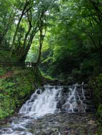 【親孝行伝説の地】養老の滝で自然と心が潤う旅