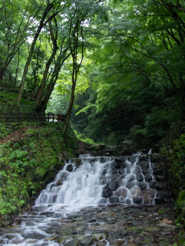 【親孝行伝説の地】養老の滝で自然と心が潤う旅