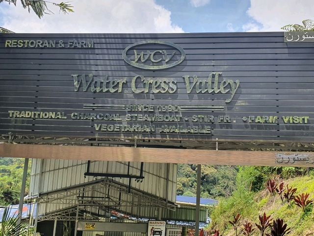 Water Cress Valley in Cameron Highlands