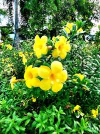 An idyllic weekend at The Garden of Abundance