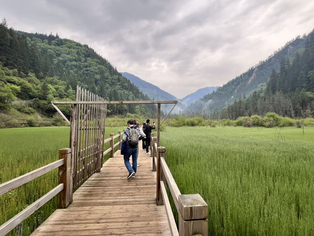 🏞️Epic Nature Combo: Huanglong + Jiuzhaigou Summer Adventure