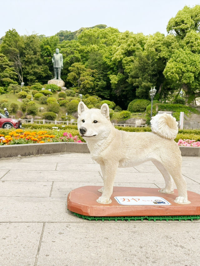 鹿児島