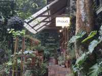 No Coffee, Just Vibes – Proud Cafe Life