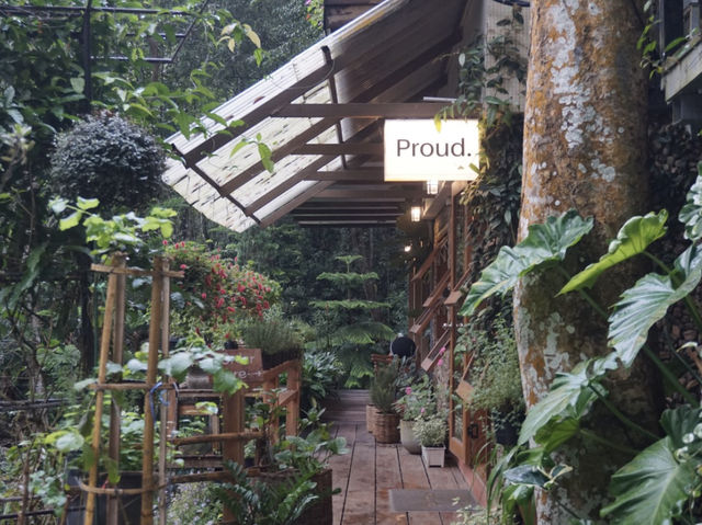 No Coffee, Just Vibes – Proud Cafe Life