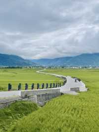 🌾 台東伯朗大道攻略｜稻田秘境x單車小路x拍照天堂 📸🚴‍♀️