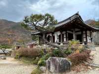 Finding Peace at Awon House
