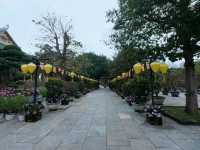 Beauty of vientnam