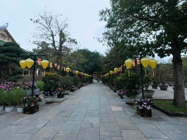 Beauty of vientnam