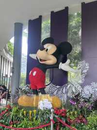 สวนดอกไม้ที่สิงคโปร์