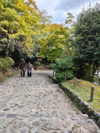 Morning in Arashiyama: A River, A Bridge, and Ten Ways to Taste Tofu