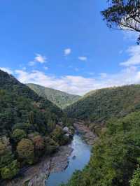 Morning in Arashiyama: A River, A Bridge, and Ten Ways to Taste Tofu