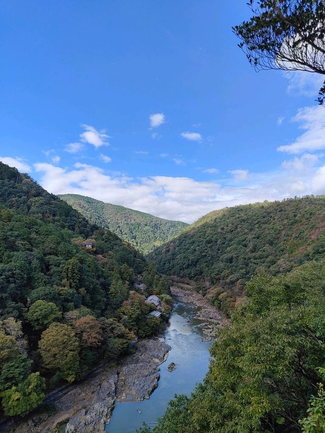 Morning in Arashiyama: A River, A Bridge, and Ten Ways to Taste Tofu