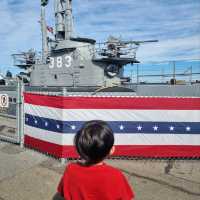 Seals, Shops, and Sea Breeze: Pier 39 Shenanigans