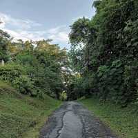 Bukit Brown Cemetery (Free historical walking site)
