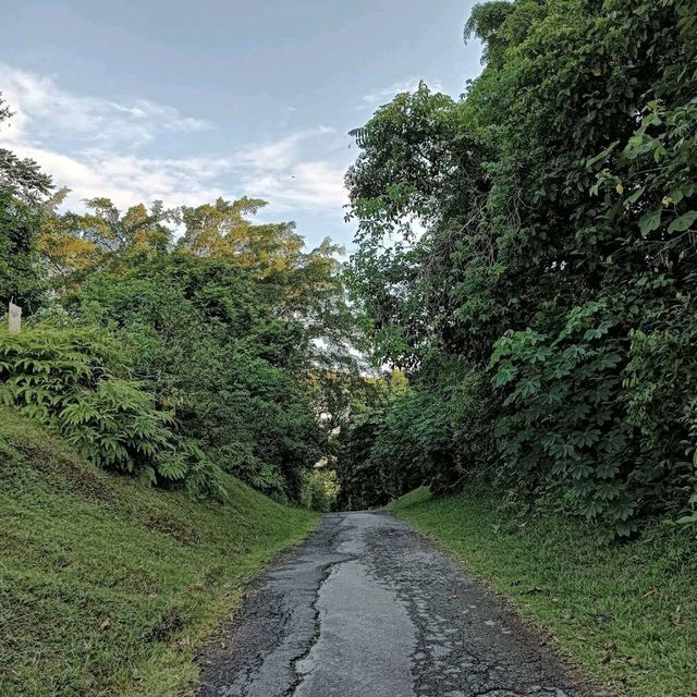 Bukit Brown Cemetery (Free historical walking site)