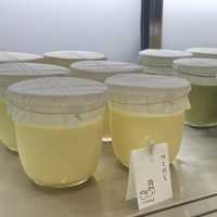 다양한 굿즈들을 판매하는 제주 우무푸딩 🍮