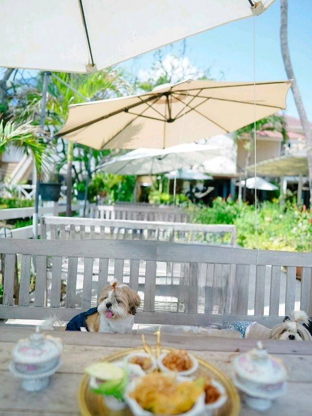 บ้านใกล้วัง