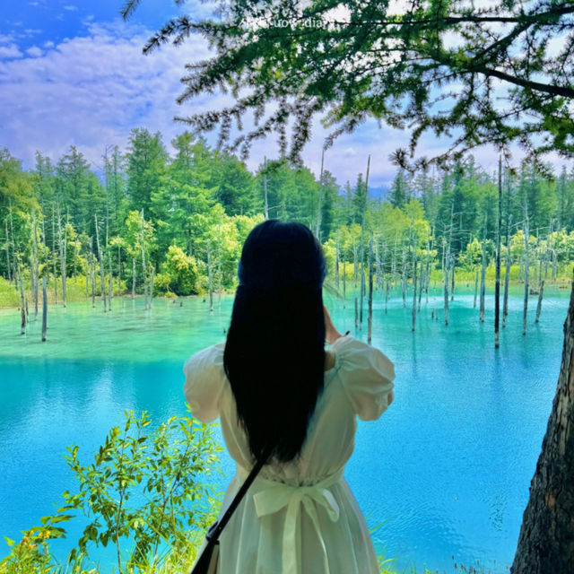 🌾✨ 비에이 여름 감성 1박 2일 여행일정 ✨🌾