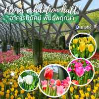 ทิวลิปในไทย@อาคารนิทัศน์พันธุ์พฤกษา
