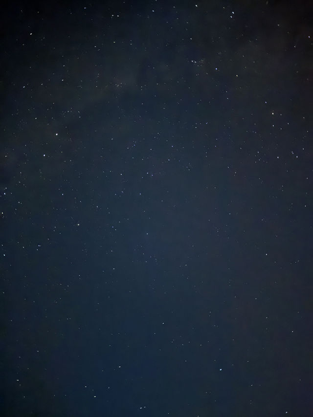 奧瑪魯 小藍企鵝跟完美星空