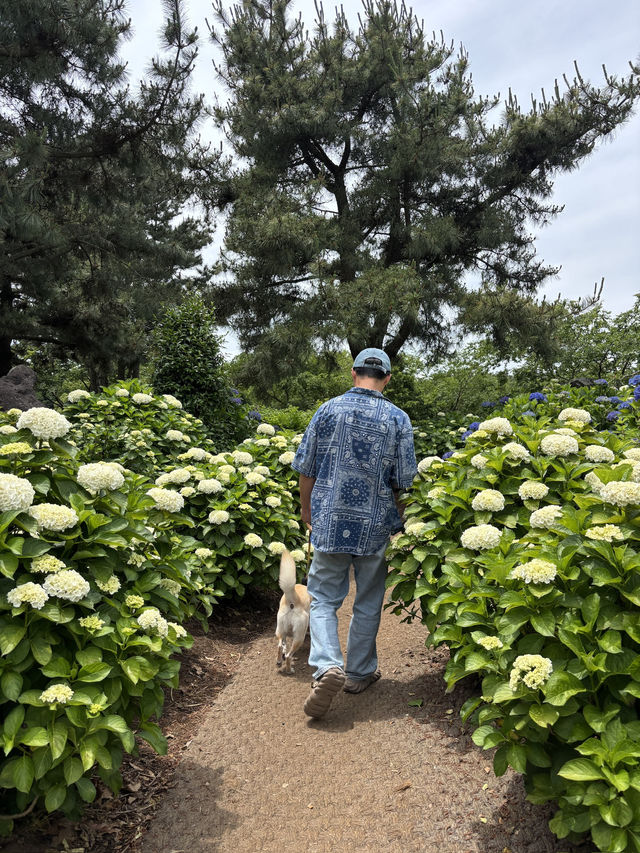 제주 여름 가볼만한곳 송당 동화마을