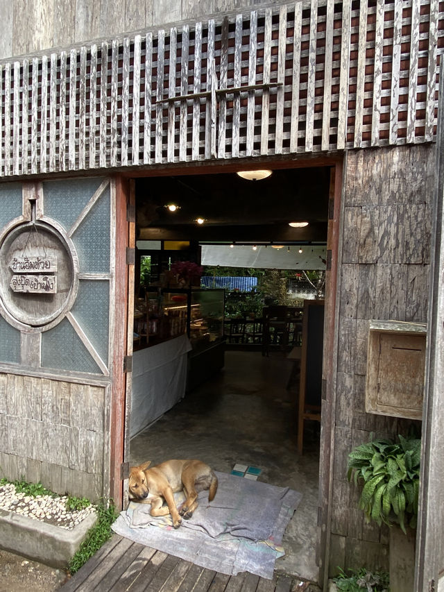คาเฟ่แม่กำปองสุดฮิต