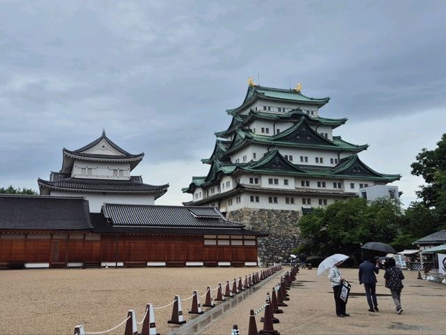 🏯나고야성에 왔다면 꼭 보고 와야하는 혼마루🏯