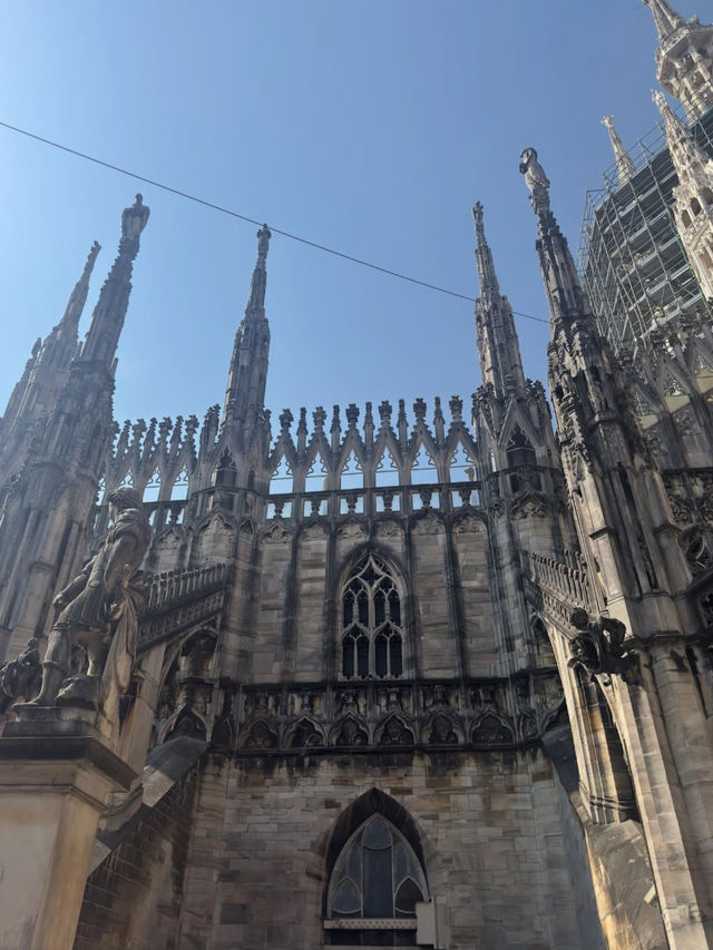 【黄金に輝く祈りの空間】モンレアーレ大聖堂で体感するシチリアの美⛪🌟
