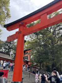 ⛩️🔥⛰️ Fushimi Inari Hike – From 1,000 Gates to the Mountain Peak