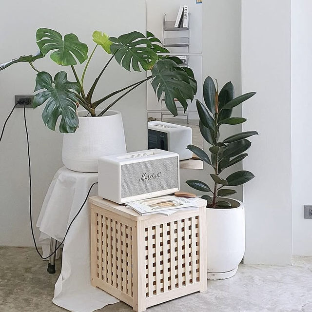 ☕ Intersect.hdy – มุมเงียบใจกลางคอหงส์ 