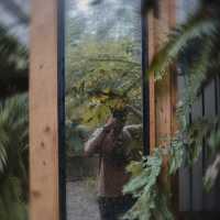 Bannaimong Treehouse