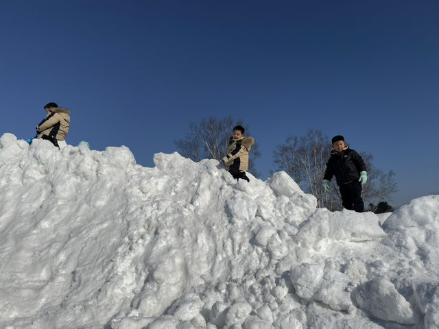 Is Hokkaido, Japan worth the hype?