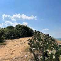 Bai Xep Beach (Phu Yen)