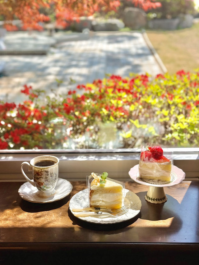 독일 가정집 분위기 예쁜카페 하이베를리너☕️