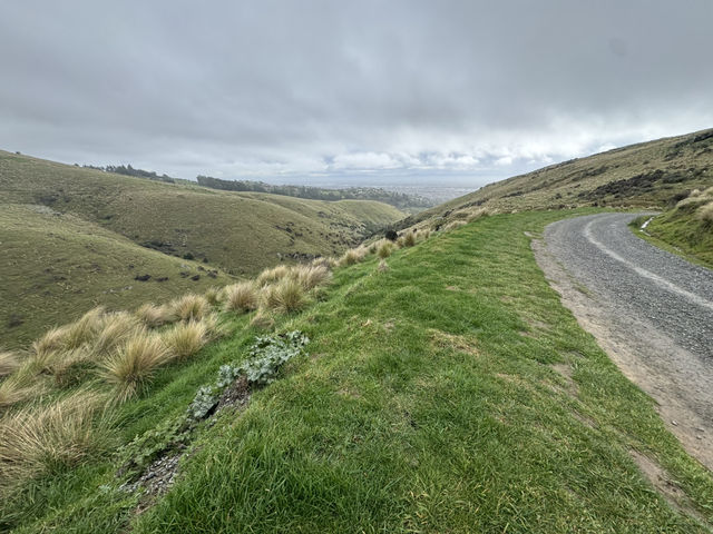 Stunning views of Lyttelton Harbour, the volcanic peaks and ridges of Banks Peninsula