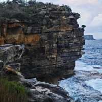 Watsons Bay & Gap Bluff