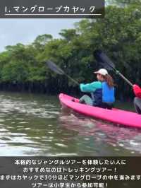 【完全版】西表島観光＆アクセス＆注意点ぜんぶまとめ