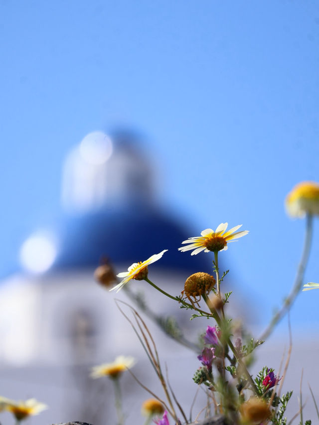 【サントリーニ島】元気なうちに行くべし🇬🇷